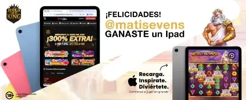 Recarga Diaria de Energía